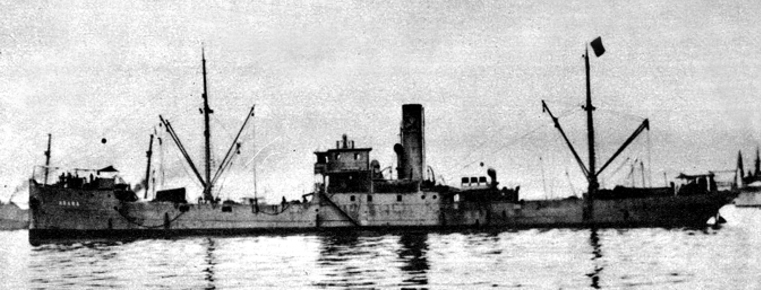 Itagiba Arara2
