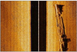 Vital Oliveira sidescan2