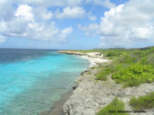 Windjammer Bonaire 02