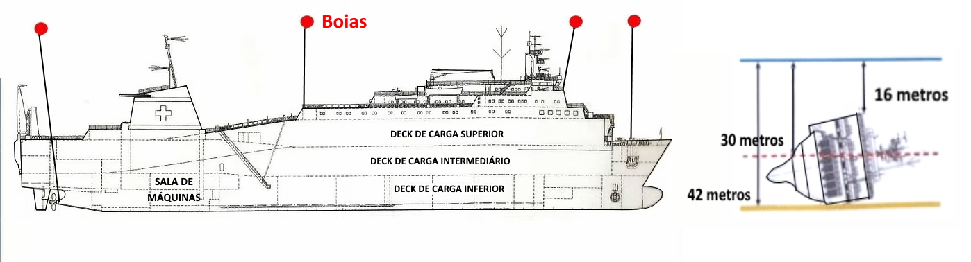 Especial - Top 10 da Europa e Mediterrâneo 7 Zenobia planta