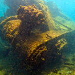 Home 3 Wordsworth 20