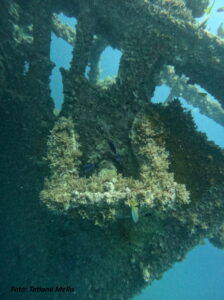 Pesquisas de Abrolhos, o Artemis e o Guadiana 21 Artemis sub 22