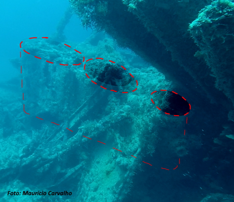 Pesquisas de Abrolhos, o Artemis e o Guadiana 32 Pesquisa Abrolhos maquinas 1