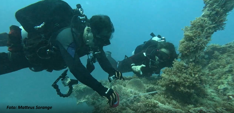 Pesquisas de Abrolhos, o Artemis e o Guadiana 26 Pesquisa Abrolhos medicao 04