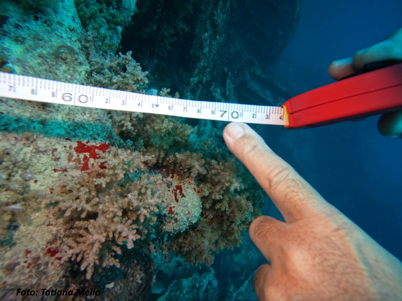 Pesquisas de Abrolhos, o Artemis e o Guadiana 29 Pesquisa Abrolhos medida 01