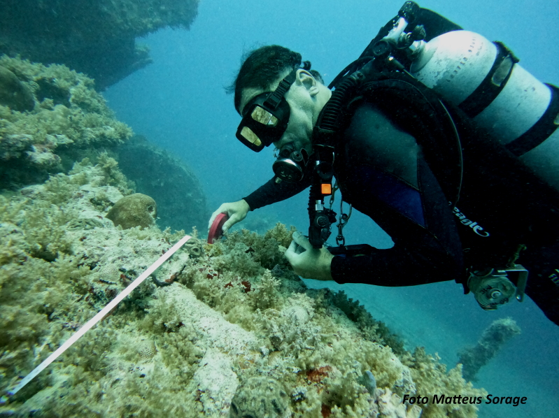 Pesquisas de Abrolhos, o Artemis e o Guadiana 28 Pesquisa abrolhos medida 02