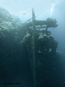 Pesquisas de Abrolhos, o Artemis e o Guadiana 30 Pesquisa abrolhos proa