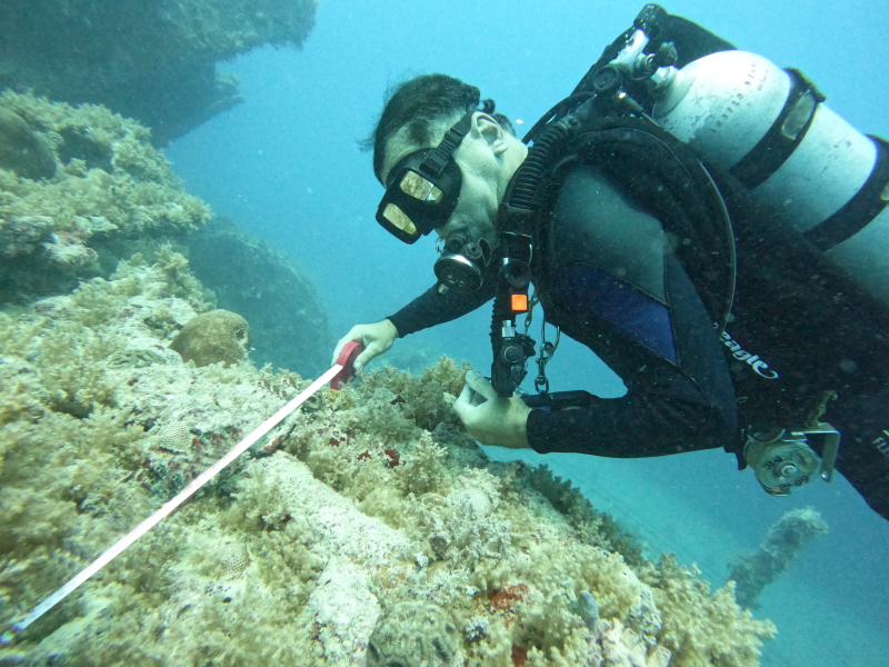 Pesquisas de Abrolhos, o Artemis e o Guadiana 27 Pesquisa medida 1