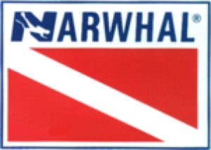 LogoNarwhal