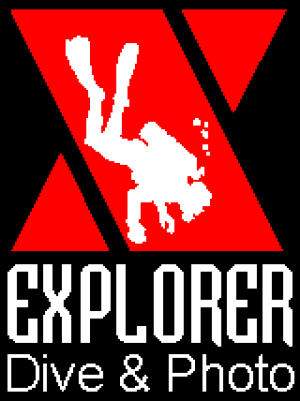 logoexplorer